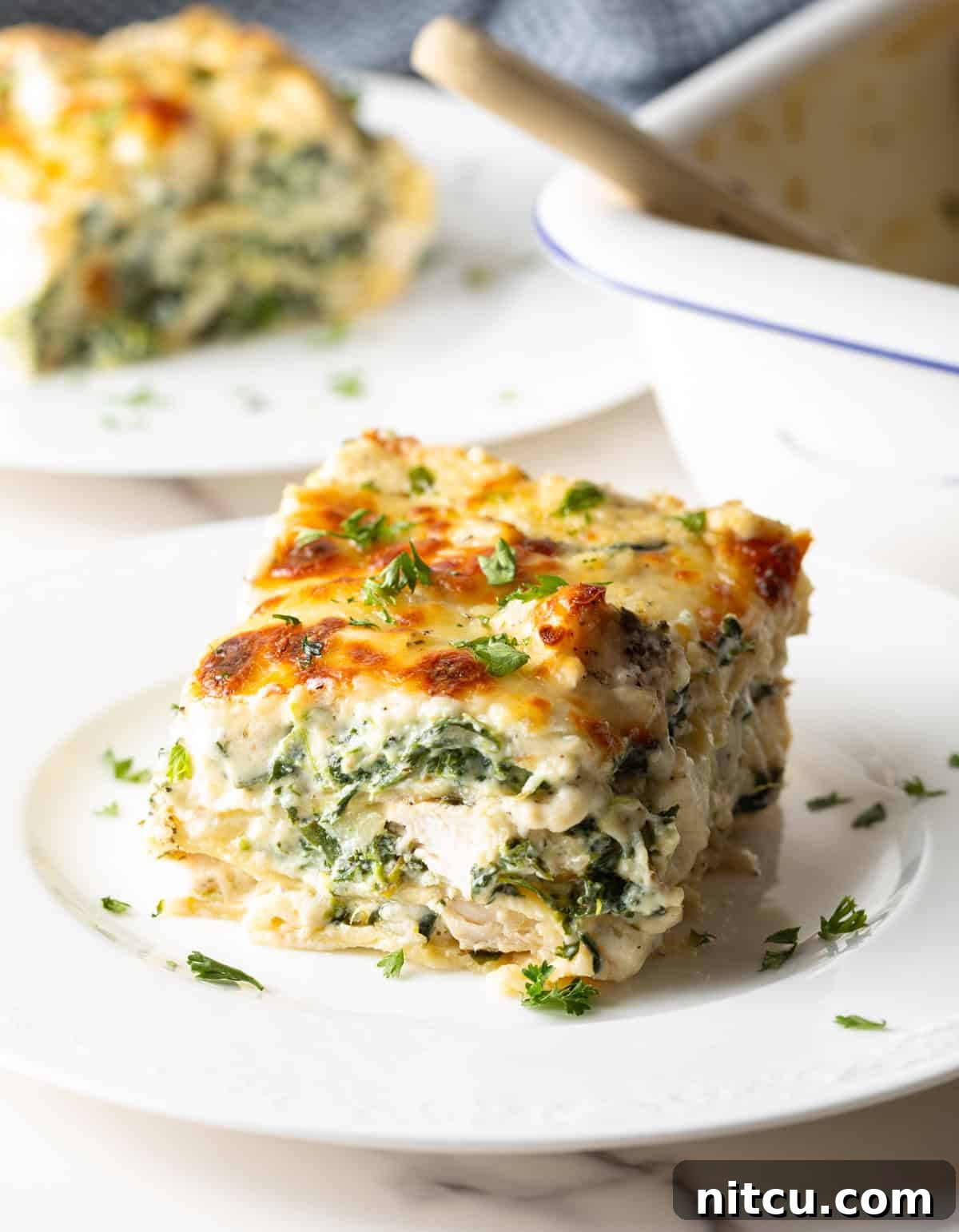 A perfectly portioned square of golden-brown chicken Alfredo lasagna on a pristine white plate, showcasing its creamy layers and melted cheese.