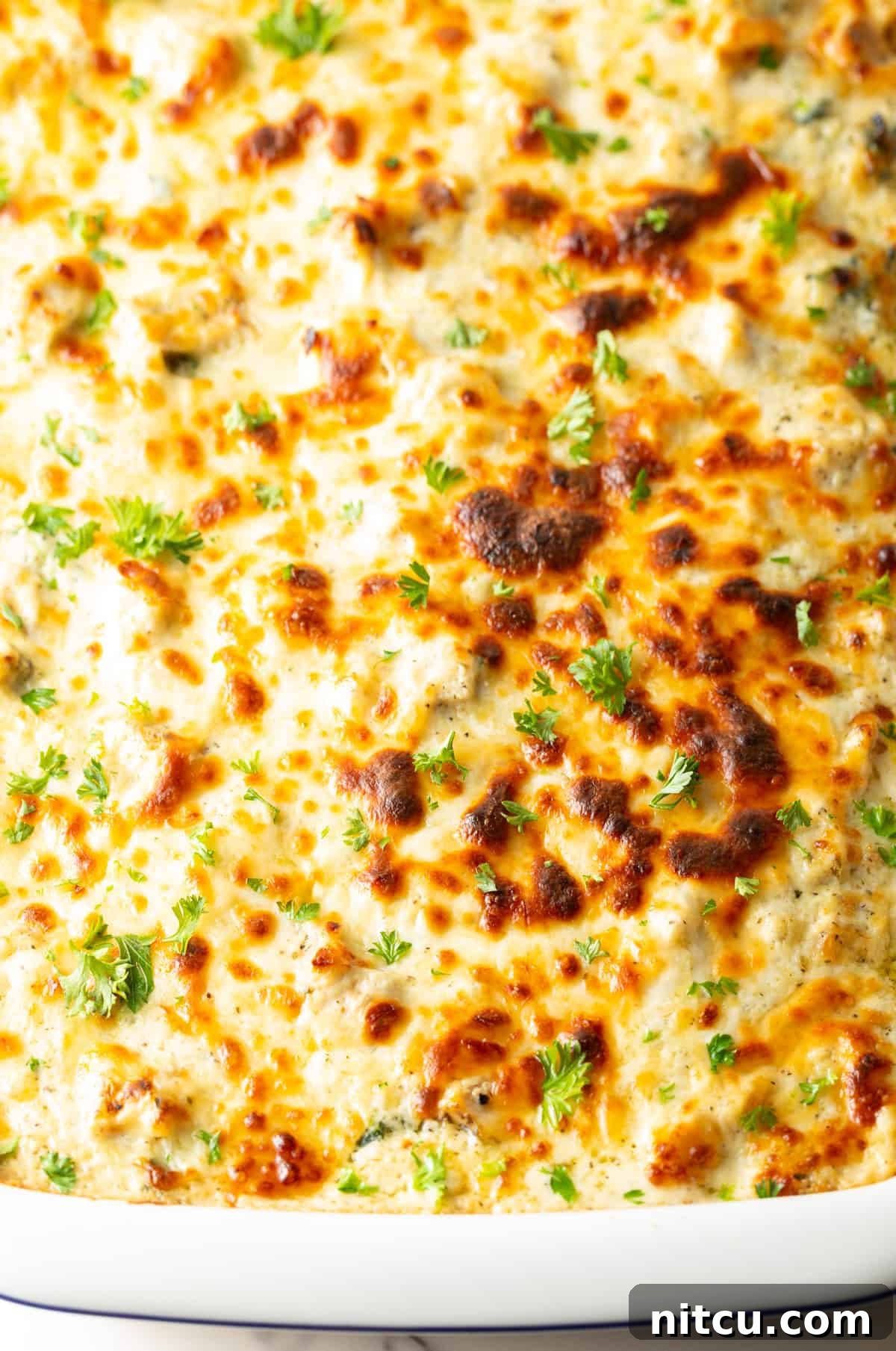 A top-down shot of a white rectangular baking pan filled with a freshly baked, bubbly chicken Alfredo lasagna, golden-brown and ready to serve.