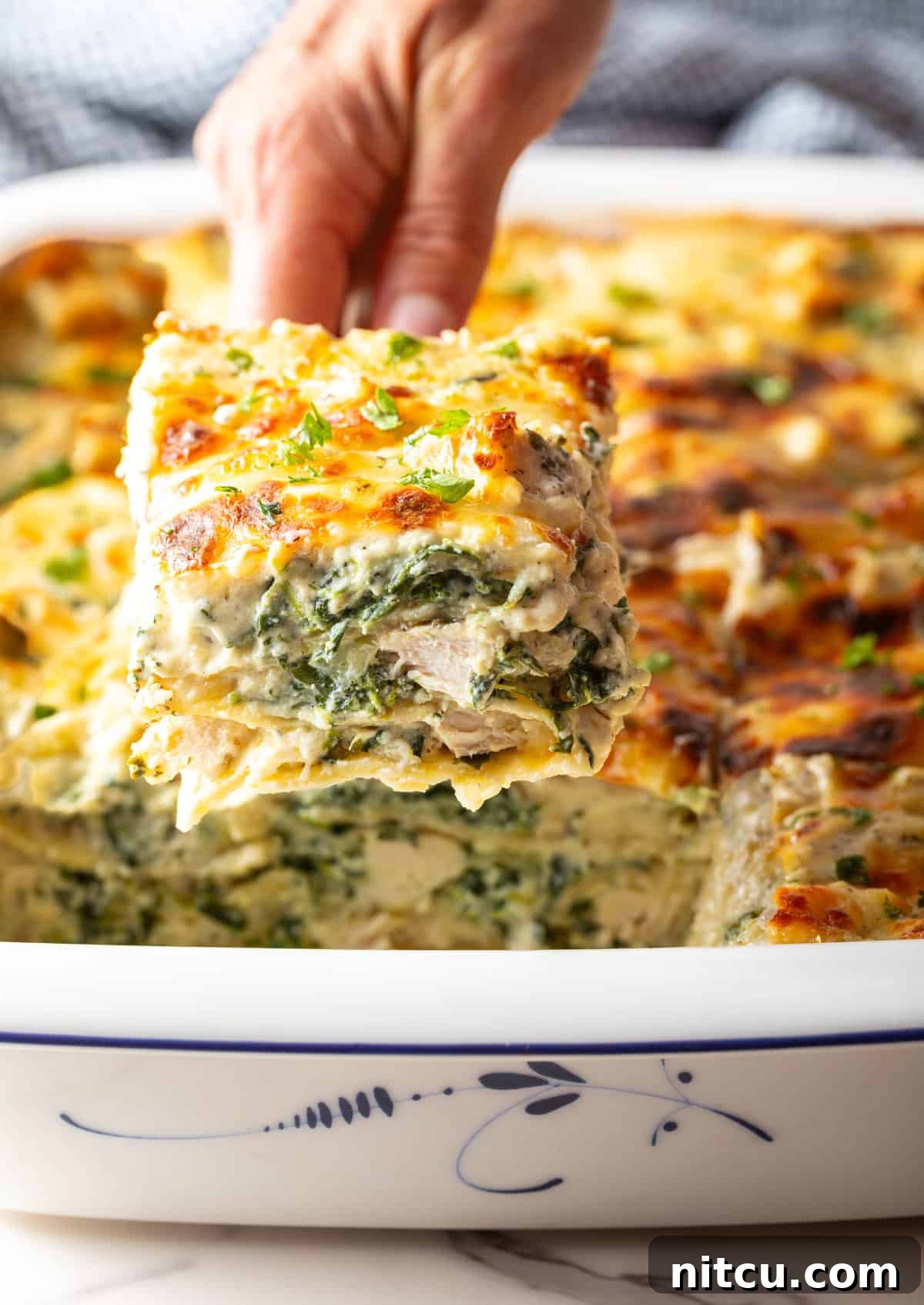 A serving spatula lifts a hearty square of cheesy chicken Alfredo lasagna with spinach from a white baking pan, showcasing its luscious layers.