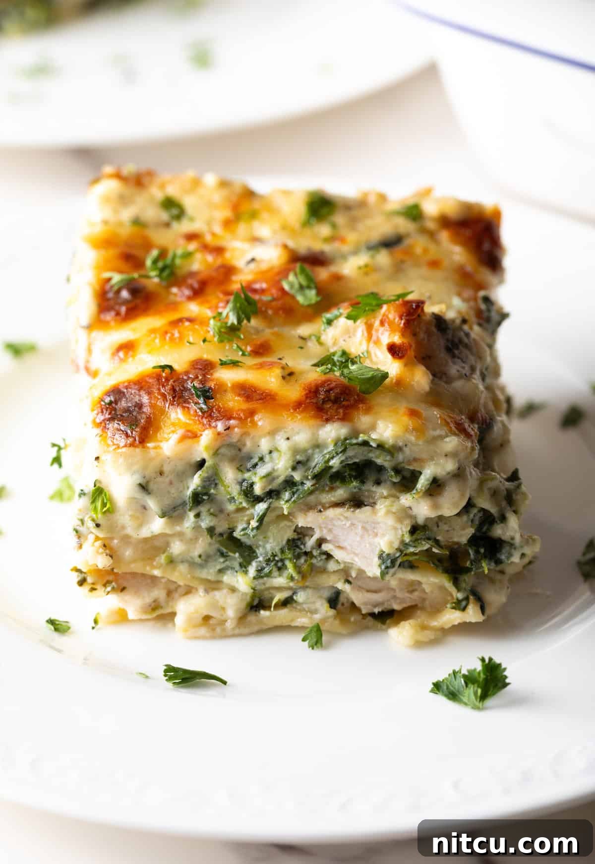 A pristine square of hearty chicken Alfredo lasagna, showcasing its perfectly baked, golden-brown top and creamy interior on a white plate.