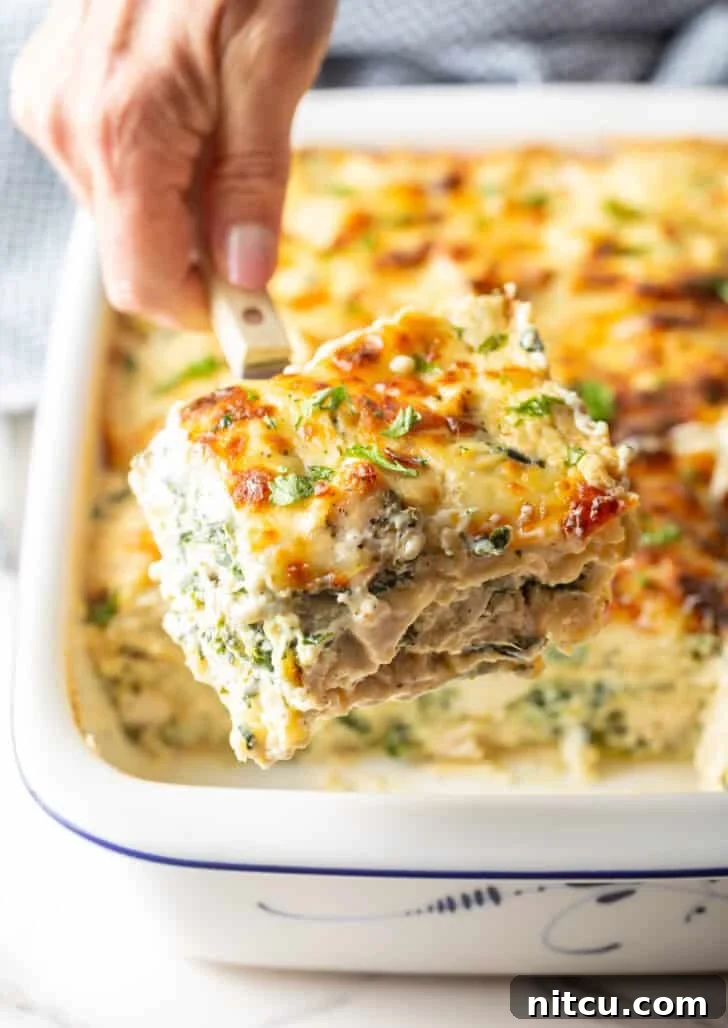 A serving spatula carefully lifting a generous square of cheesy Chicken Alfredo Lasagna, revealing its decadent layers of chicken, spinach, and pasta.