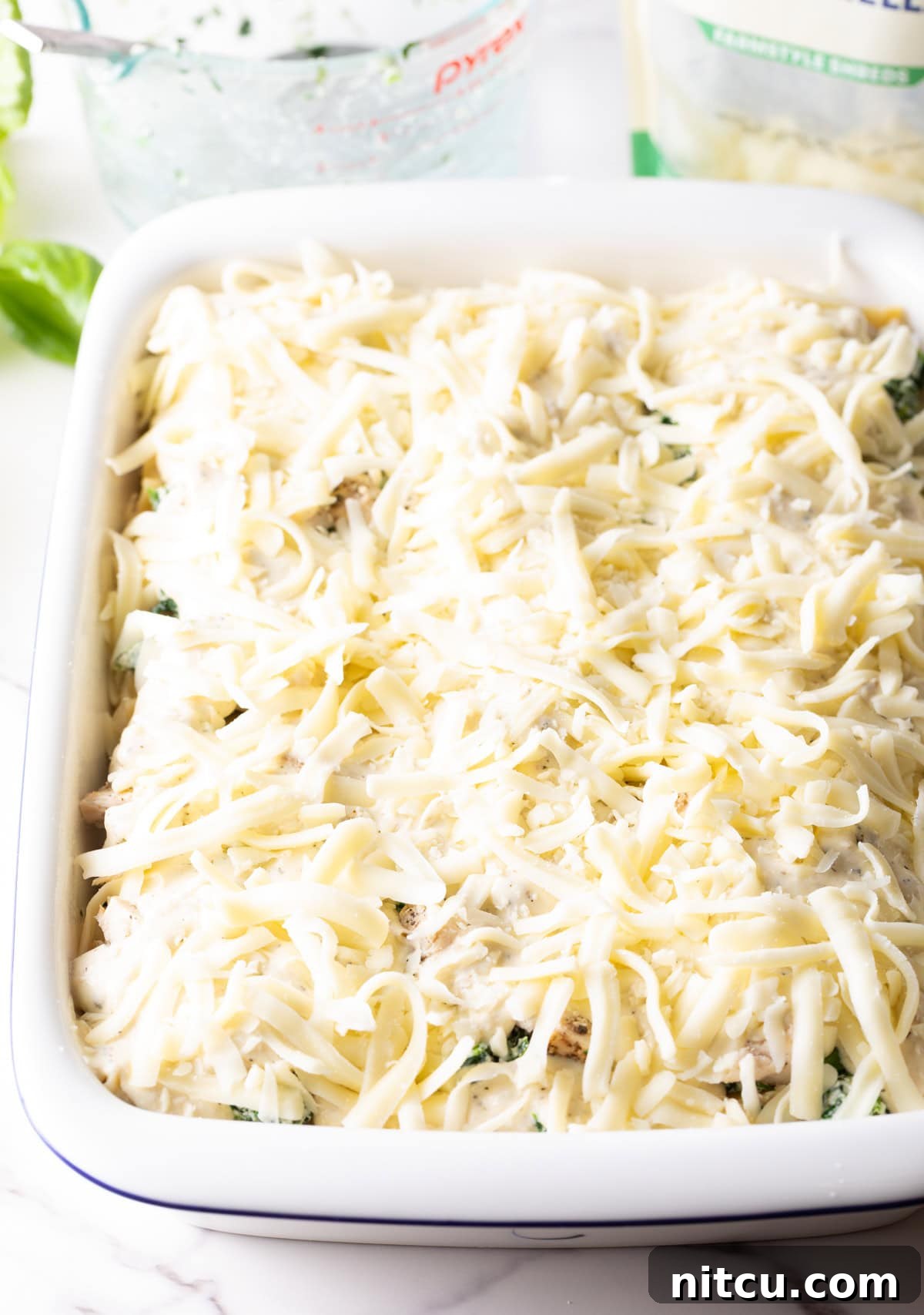 A generous layer of shredded mozzarella cheese being added as the final topping on the unbaked lasagna, promising a perfectly melted, golden crust.