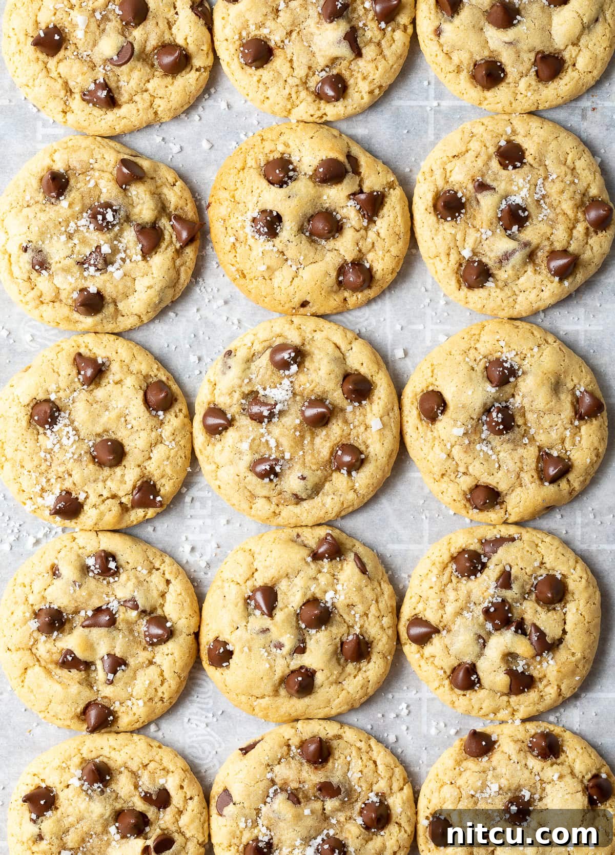 A top-down view of 15 freshly baked salted chocolate chip cookies on a baking sheet, glistening with a dusting of sea salt.