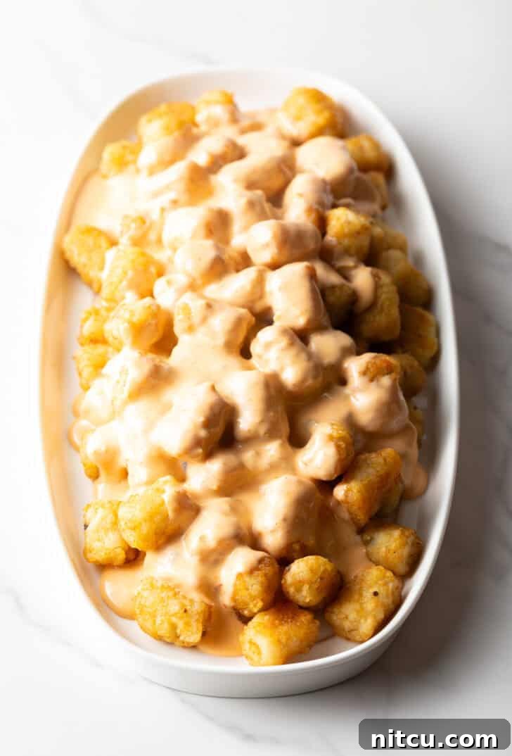 Top down view of a white oval bowl filled with crispy tater tots covered in melted cheese.