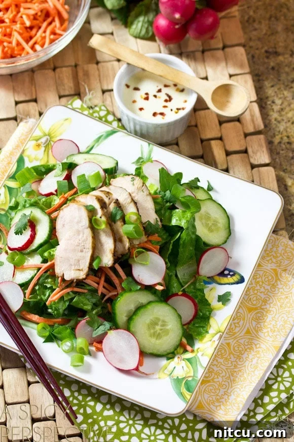 A beautifully arranged white square plate of Vietnamese Banh Mi Salad featuring vibrant fresh salad greens, thinly sliced cucumbers and radishes, finely shredded carrots, and succulent slices of grilled chicken breast. A light dressing is visibly drizzled over the salad.