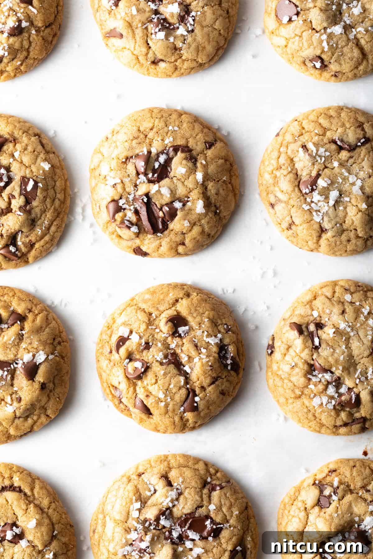 A baker's dozen of perfectly baked brown sugar chocolate chip cookies arranged on a parchment-lined baking sheet, showcasing their golden edges and melty chocolate pools.