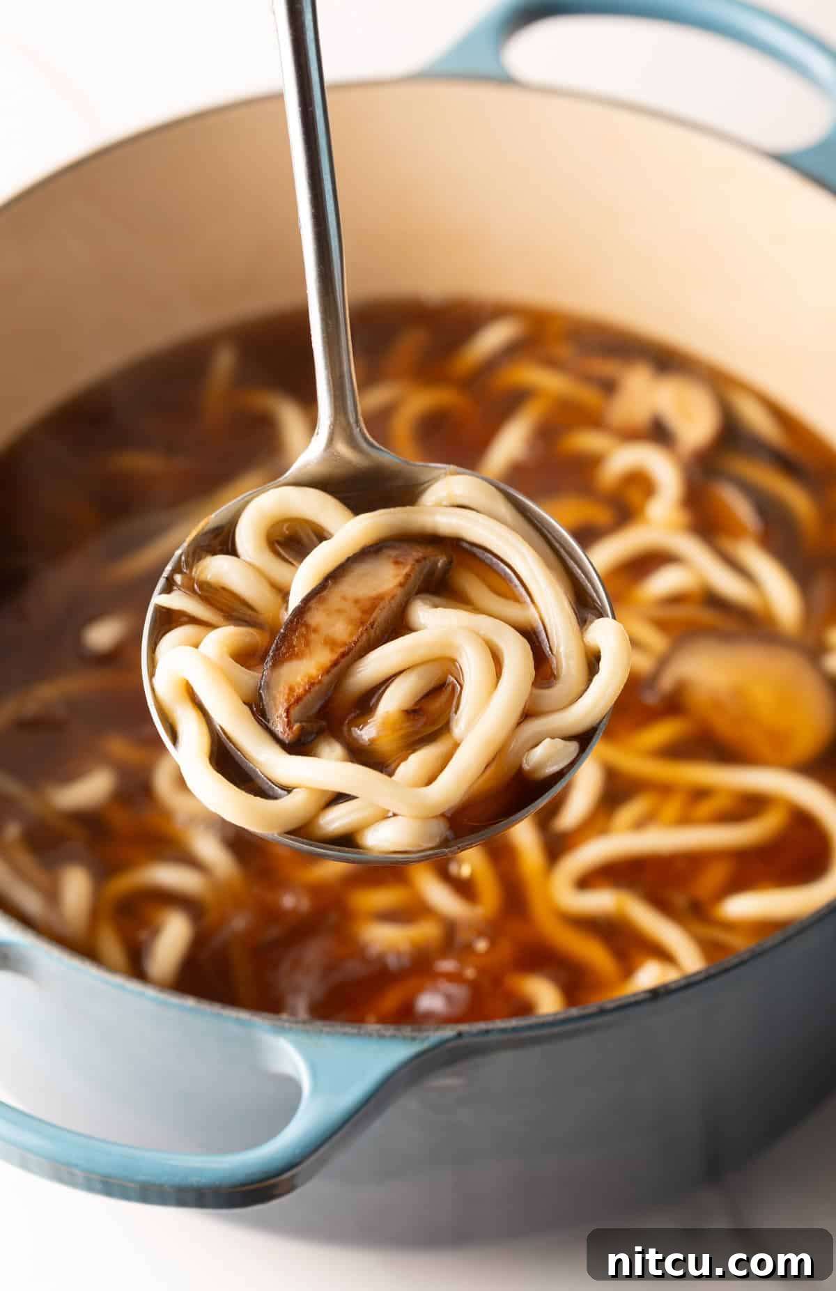 Pot of udon noodle soup with a ladle holding a scoop of the soup.