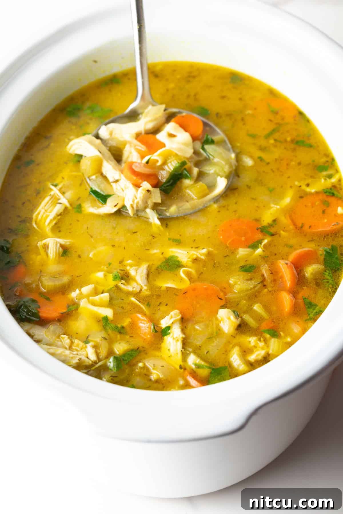 A large pot of chicken noodle soup with fresh ingredients.
