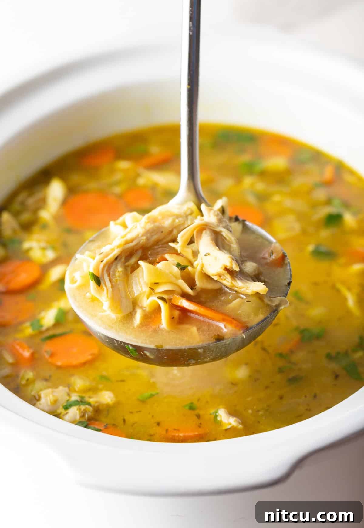 A close shot of a full ladle of crockpot chicken noodle soup.