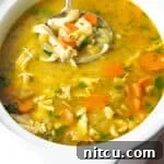 chicken noodle soup
