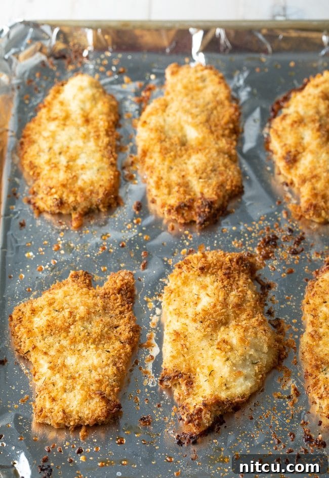 Overhead shot of crispy baked chicken cutlets cooling on a baking tray after being removed from the oven.