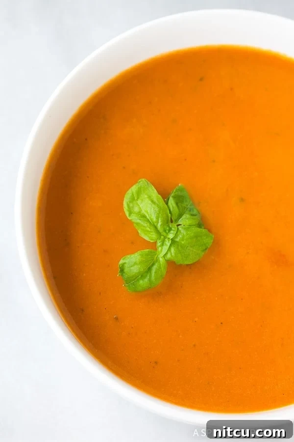 Overhead shot of healthy tomato basil bisque recipe in a pristine white bowl, garnished with fresh basil leaves.