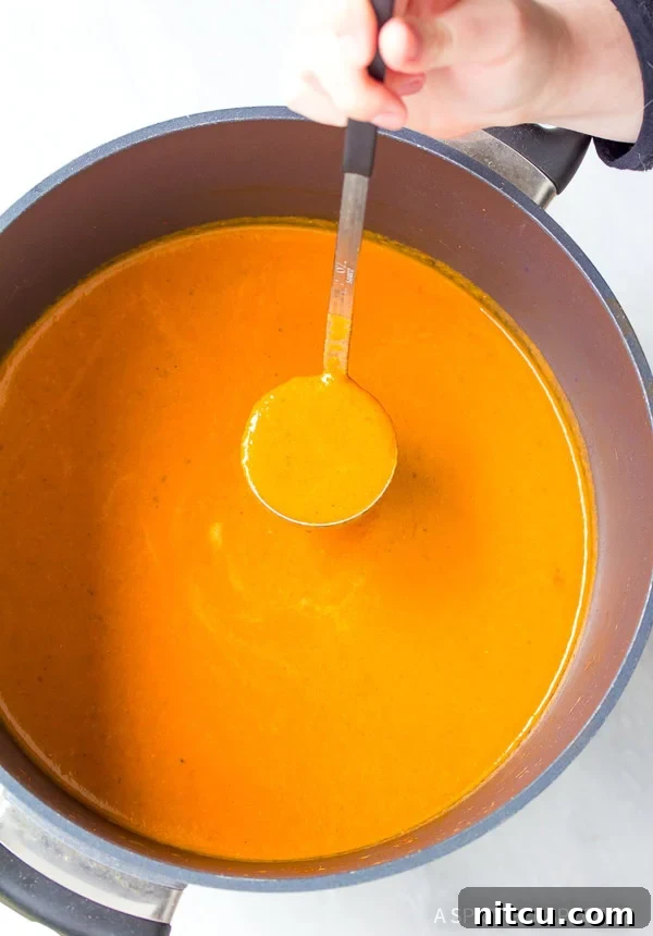 Overhead shot of a pot with a soup ladle scooping vibrant healthy tomato basil bisque recipe, ready to serve.