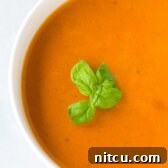 Healthy Tomato Basil Bisque Recipe