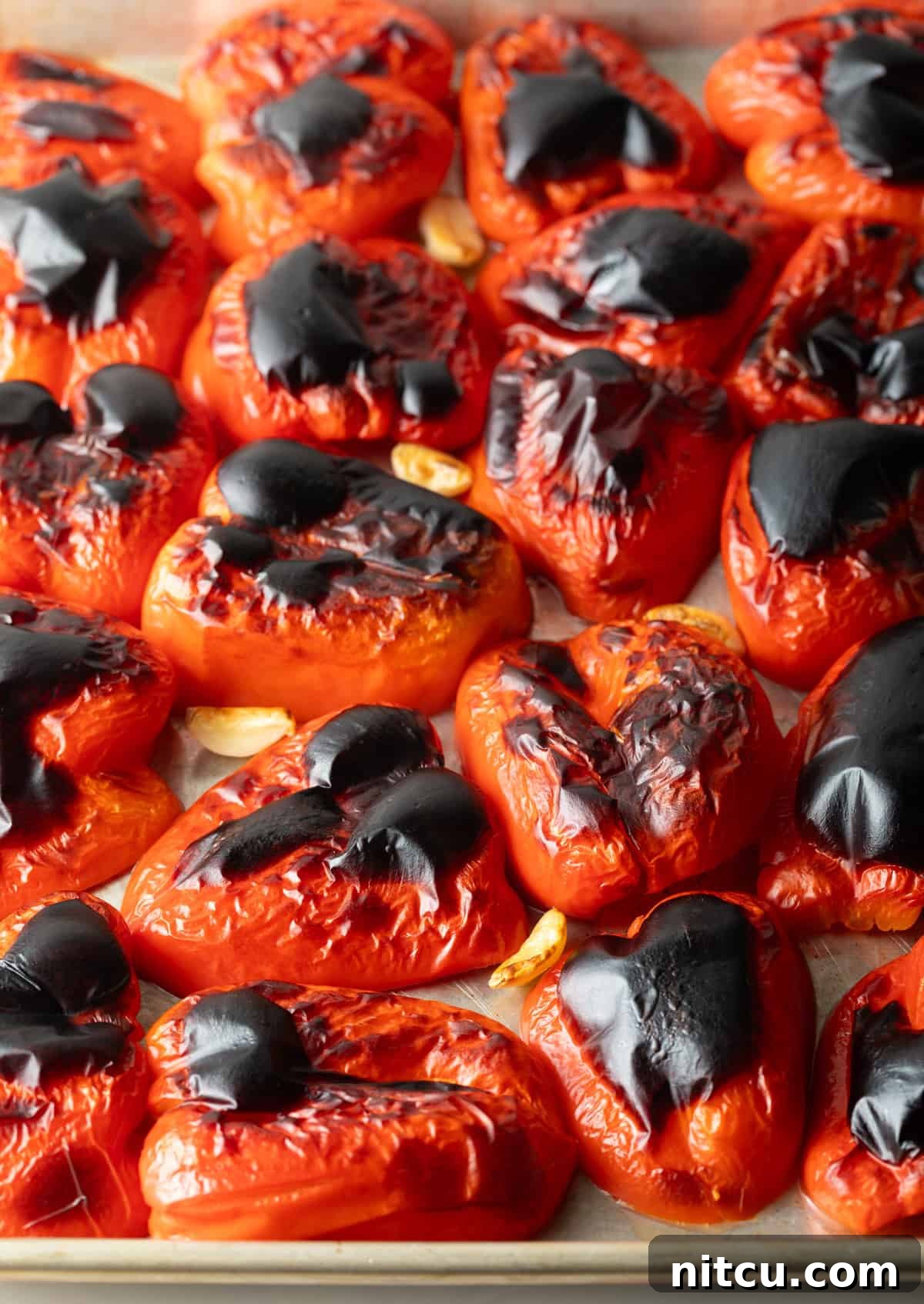 Perfectly charred red bell peppers and golden-roasted garlic cloves resting on a parchment-lined baking pan, fresh from the broiler.
