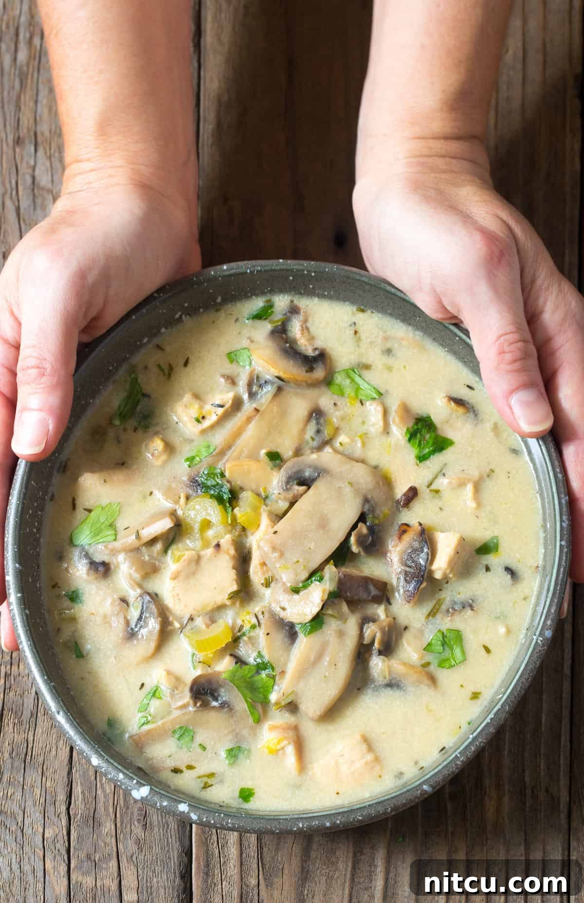 A bowl of rich, creamy chicken mushroom soup, garnished with fresh herbs, held by hands, suggesting warmth and comfort.