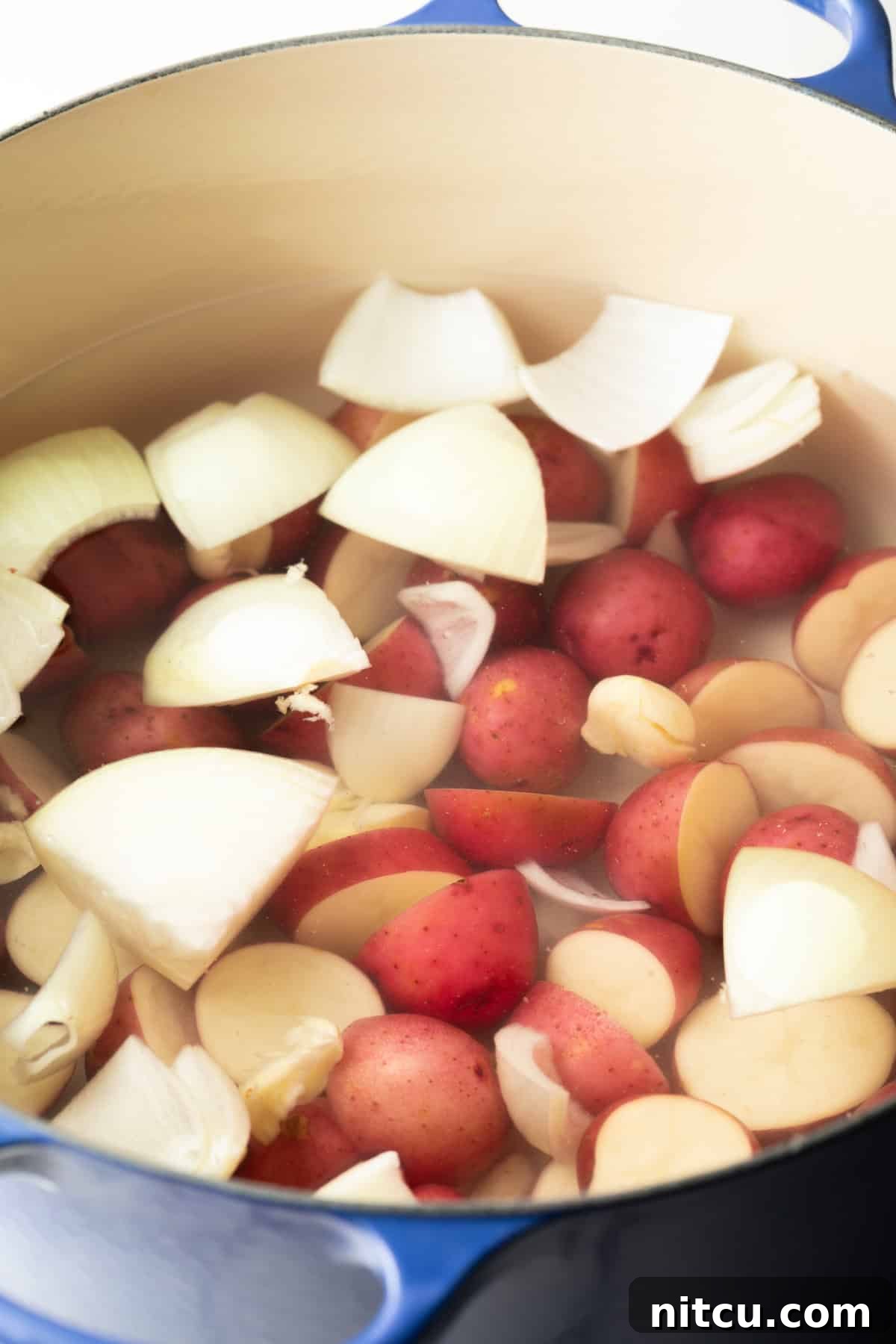 A large cooking pot on the stove, filled with water, robust onion wedges, and tender baby red potatoes, simmering as the base for the Low Country Boil.