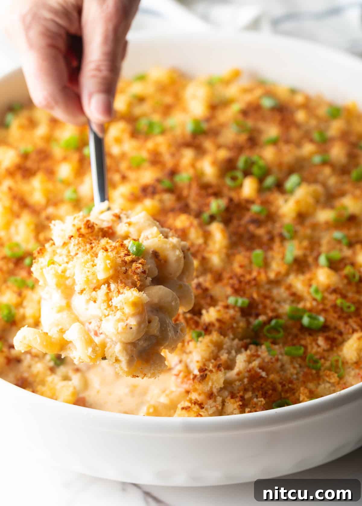 A close-up shot of a spoon holding a scoop of Cajun mac and cheese.