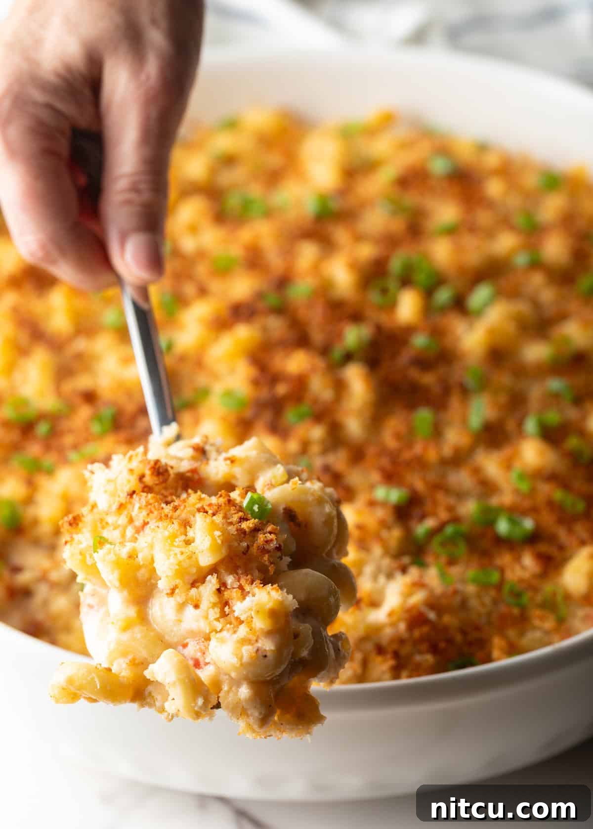 A spoon is scooping a serving of New Orleans macaroni and cheese from a white dish.