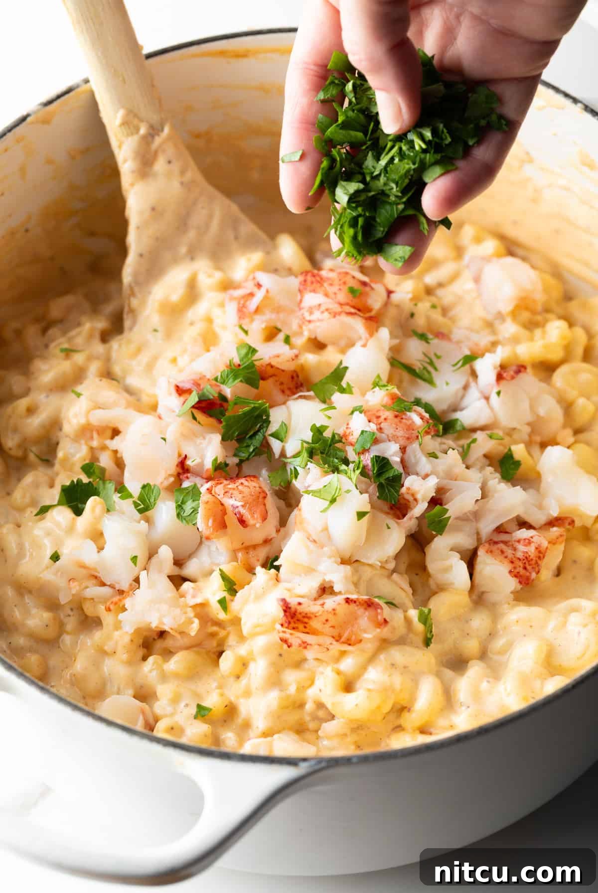 Cooked lobster and fresh chopped parsley are being added to the pasta and sauce for lobster mac and cheese.