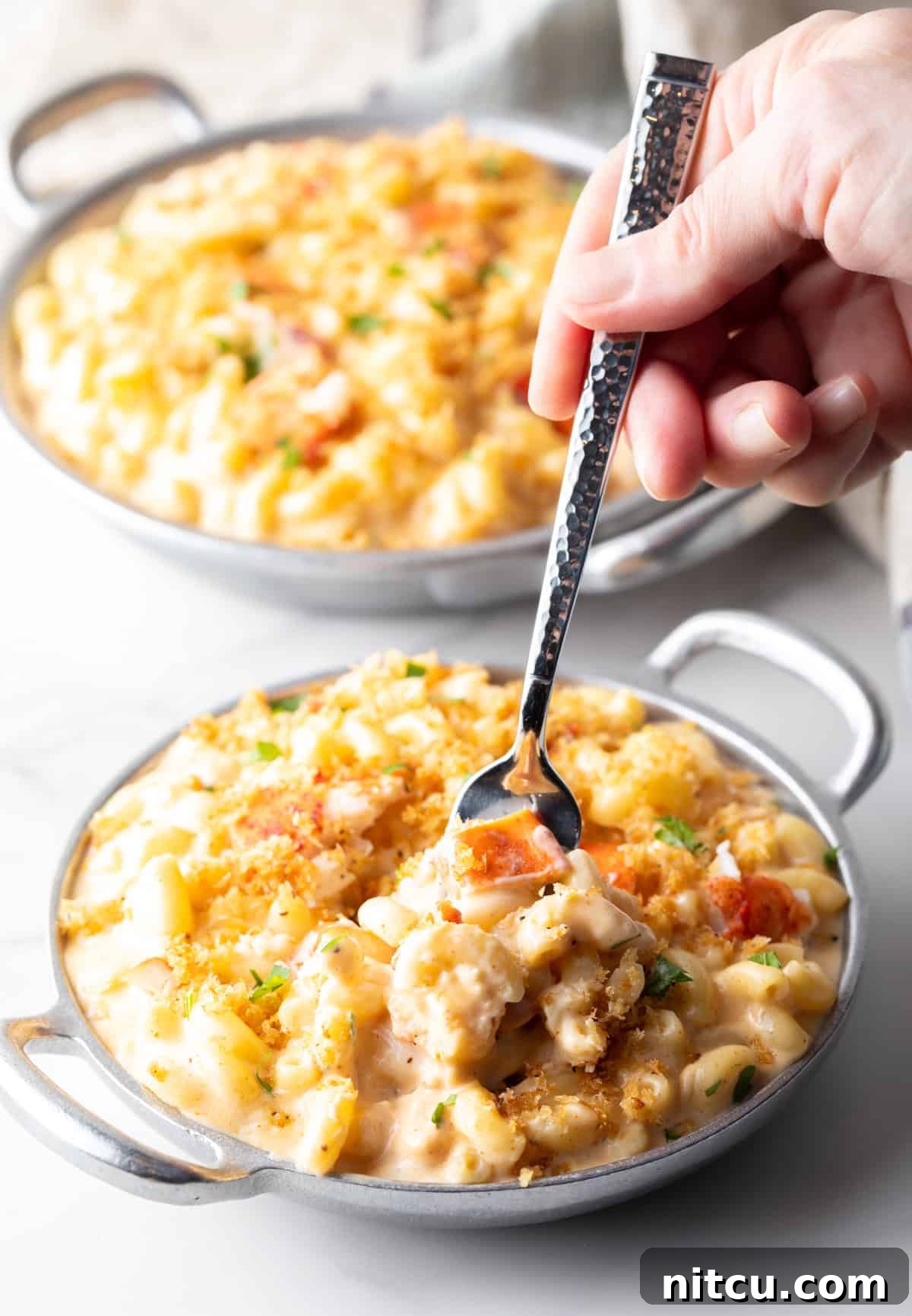 A fork preparing a bite of lobster mac and cheese with crispy breadcrumb topping.