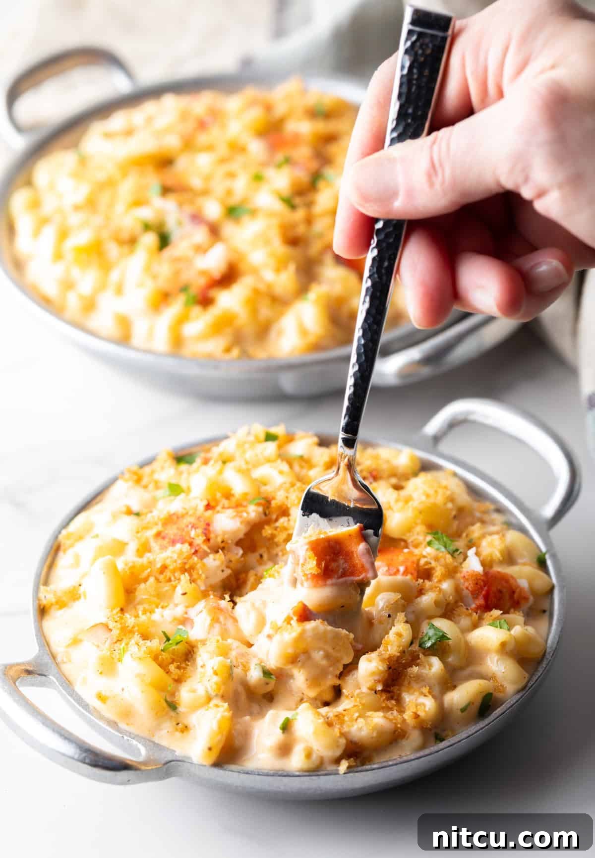 A fork preparing a bite of lobster mac and cheese with crispy breadcrumb topping.