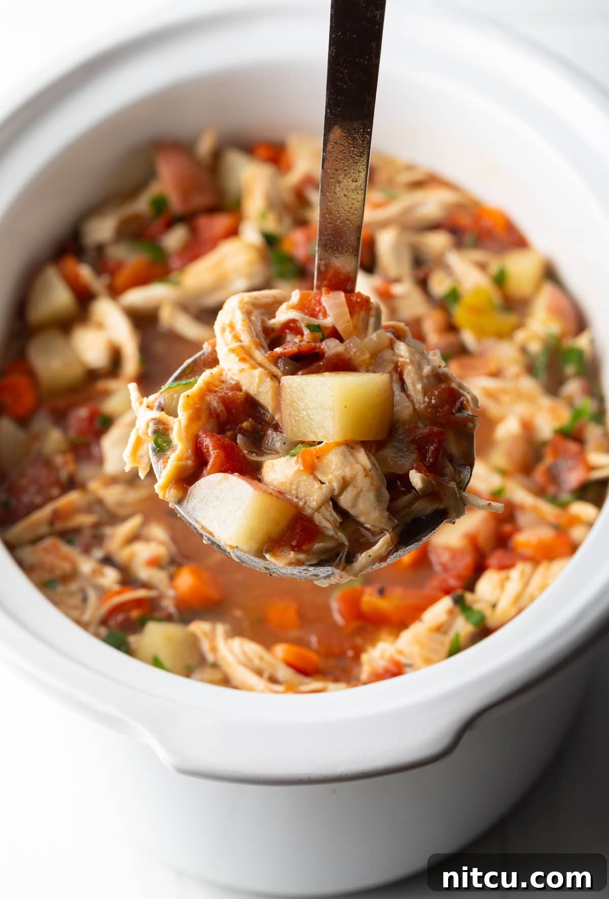 Ladleful of chicken stew held to camera.