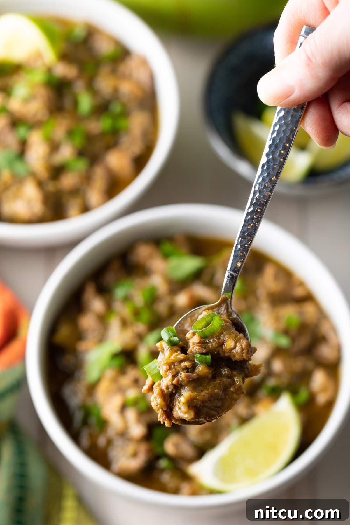 Authentic pork green chile stew served in a bowl, with a spoon lifting a bite, showcasing its rich texture.