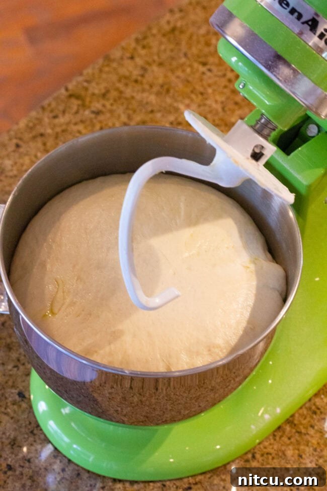 Standing mixer full of dough proofing.