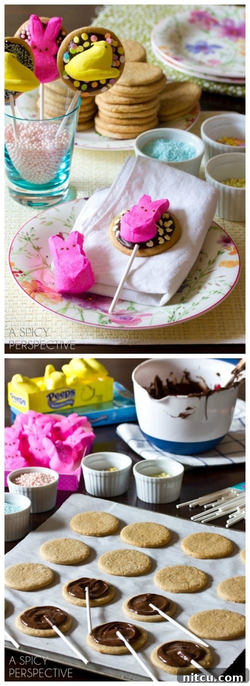 Delightful Easter S'mores Cookie Pops with Marshmallow Peeps