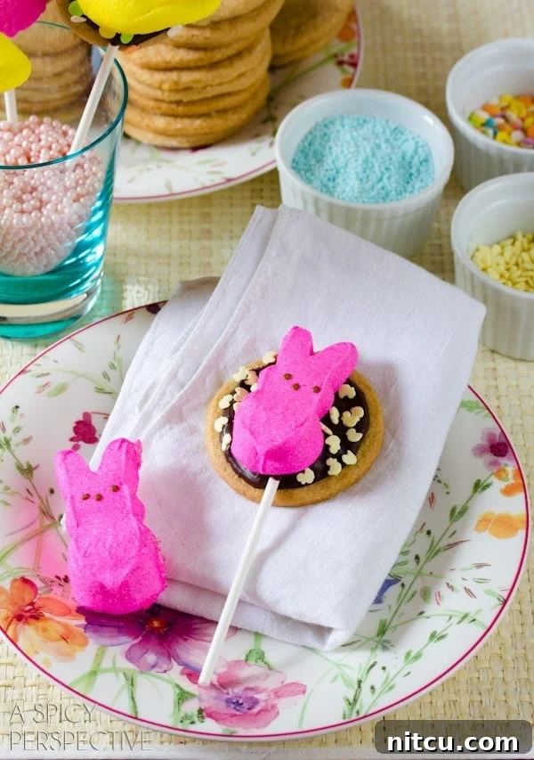 Colorful Easter S'mores Cookies on a stick for spring celebrations