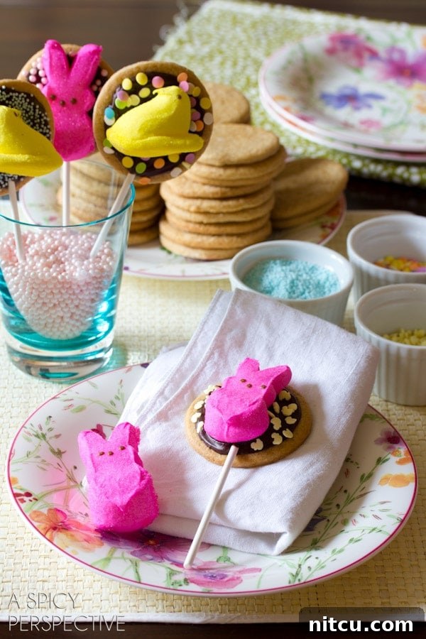 Easter S'mores Cookie Pops: A fun and festive dessert idea