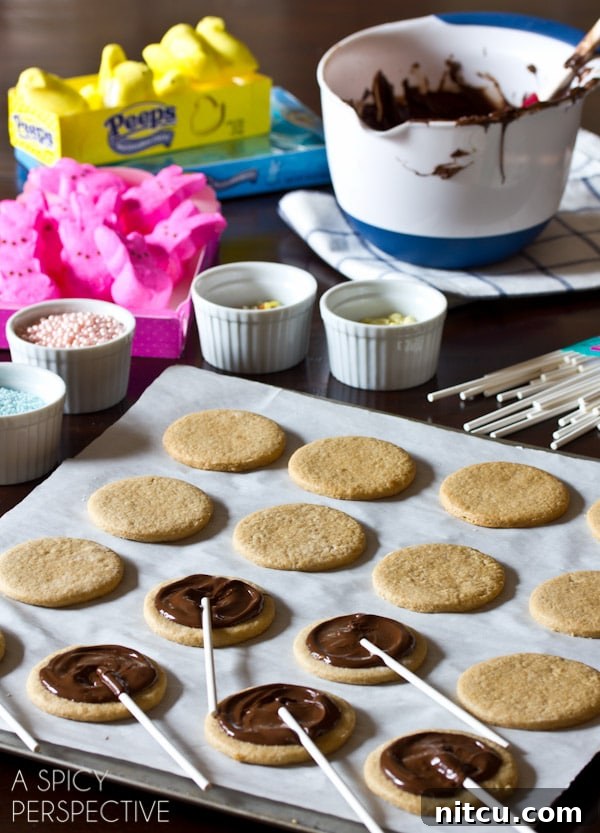 Easy S'mores Cookie Pops for Easter with chocolate and Peeps