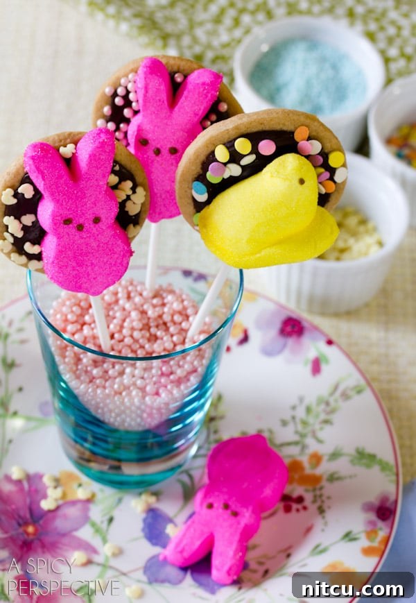 Easter Cookie Pops with Peeps: The ultimate S'mores inspired treat