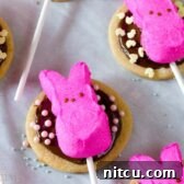 Finished Easter S'mores Cookie Pops on a cooling rack