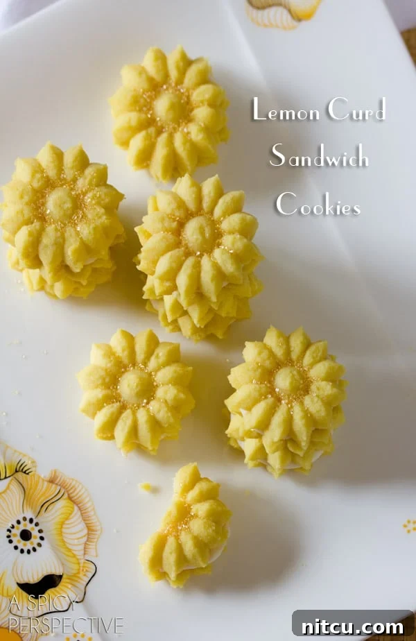 Lemon Spritz Cookies made with a Spritz Cookie Press