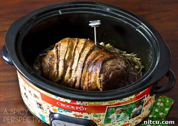 Best Meat Thermometers for Large Roasts and Whole Poultry