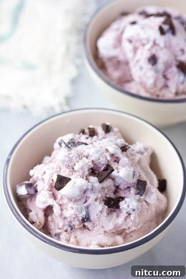 Lavender dark chocolate chip ice cream, a gourmet frozen dessert