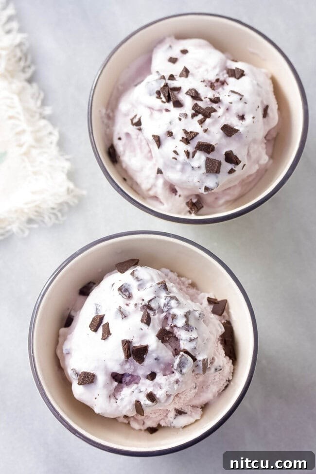 Dazzling Lavender Dark Chocolate Chip Ice Cream Recipe, perfect for summer