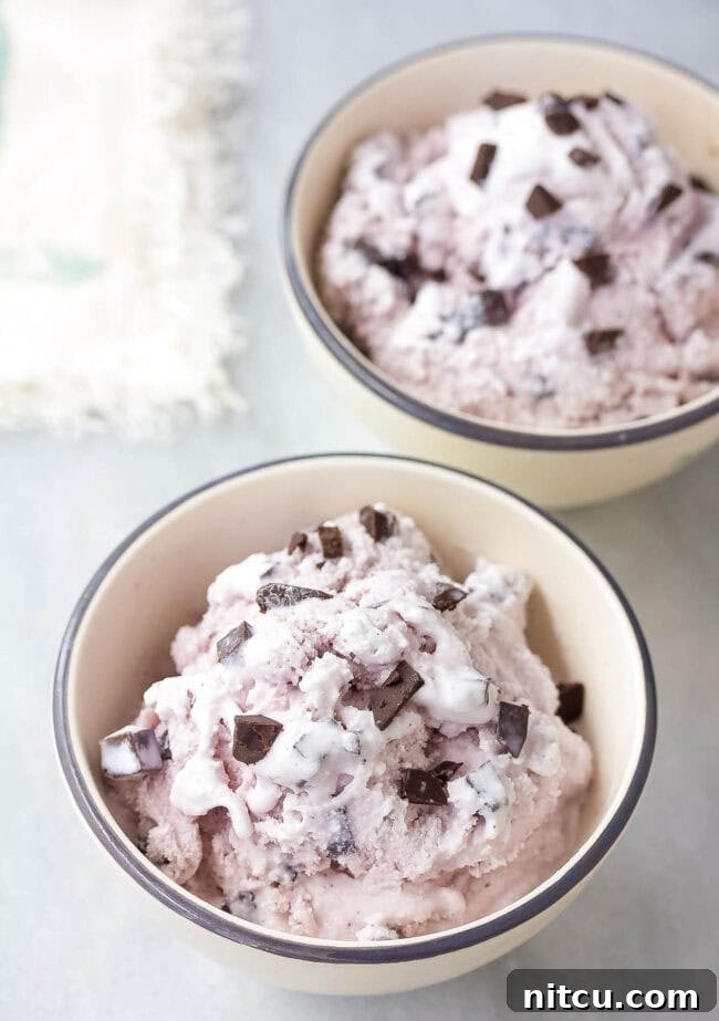 Lavender Dark Chocolate Chip Ice Cream Recipe, a delicious and aromatic treat