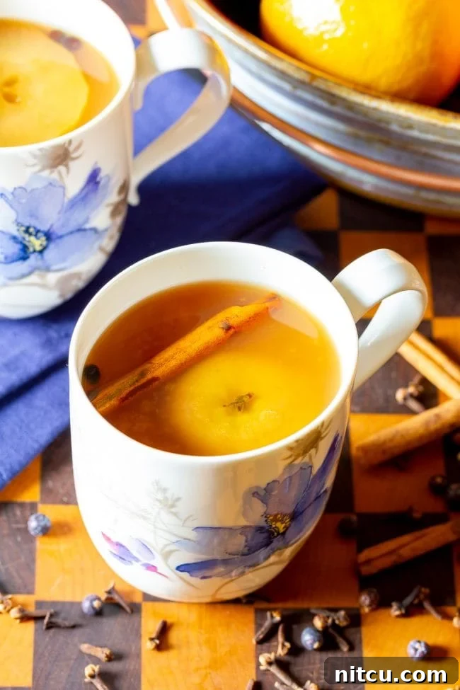 Mug of wassail cider with a cinnamon stick in the mug. 