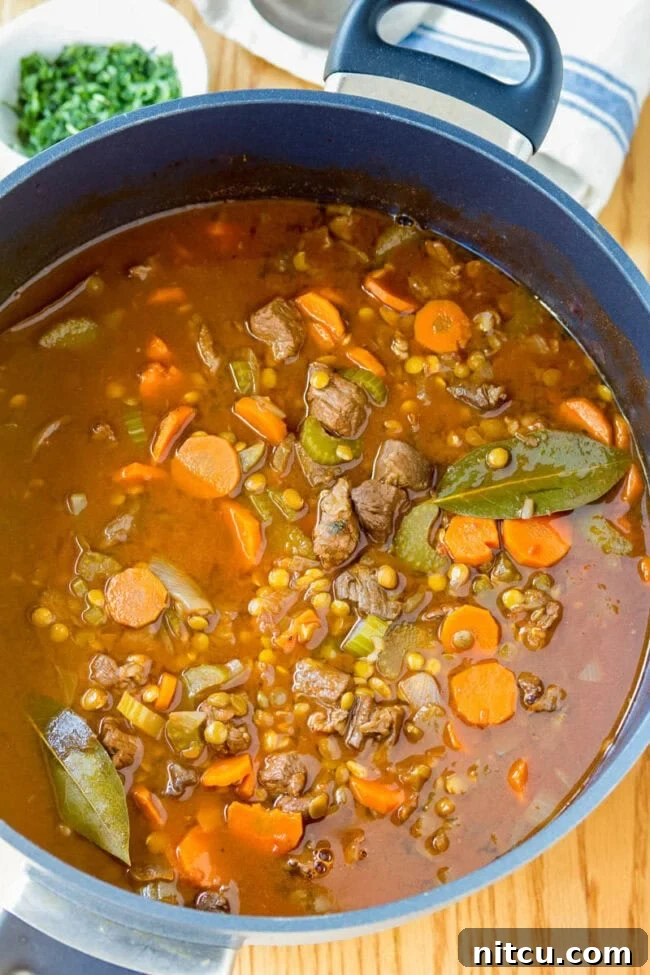 Lentil Stew in pot with beef and bay leaves
