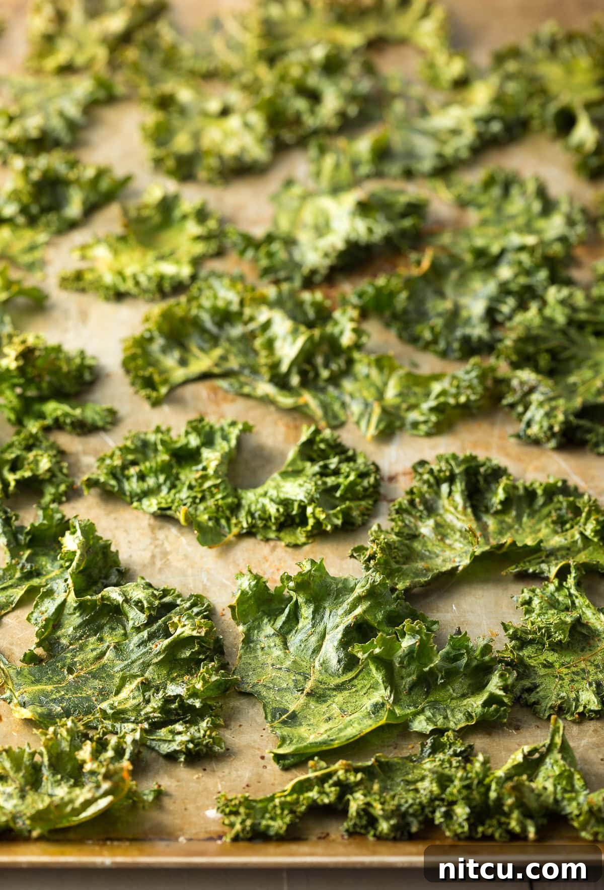 Kale chips on a sheet pan after being roasted.