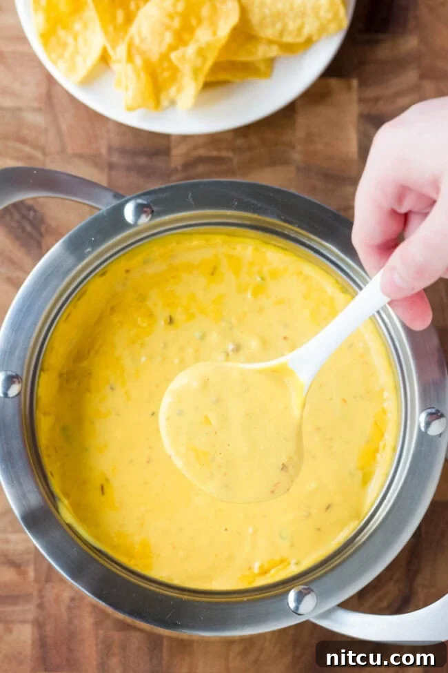 Hand holding a ladle of queso dip, pouring it from a pot of more golden, melted queso below it.