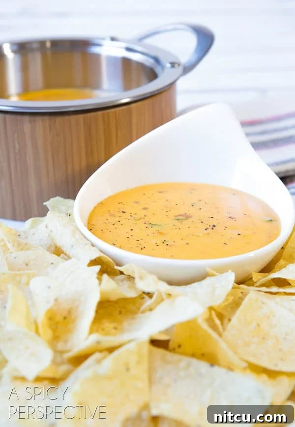 Platter of golden queso dip served in a bowl, surrounded by crispy tortilla chips.