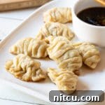 Potstickers - Chinese Dumplings