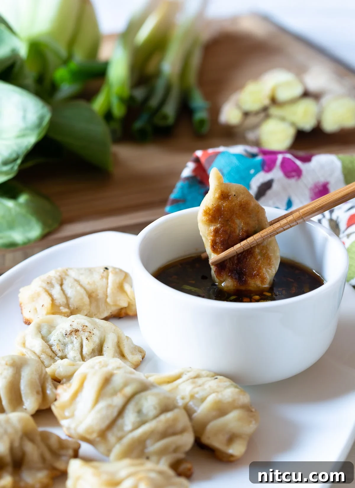 Chopsticks holding a Chinese dumpling and dipping it into a sauce. 