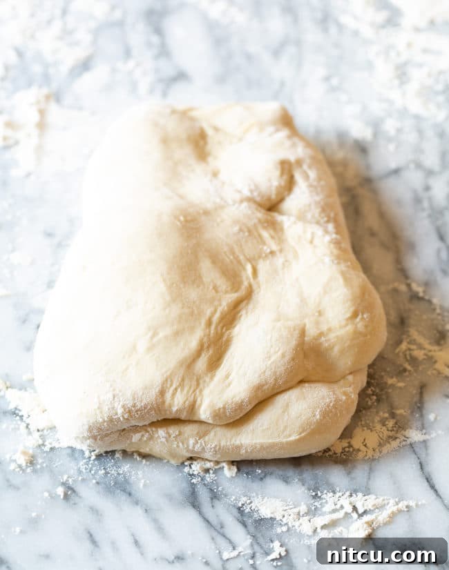 Potsticker dough. 