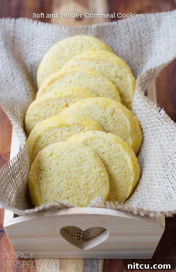 Sugar Cookies stacked in a box, showcasing their golden hue and inviting texture.