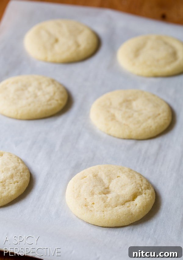 Baked sugar cornmeal cookies on parchment paper, fresh from the oven and cooling.